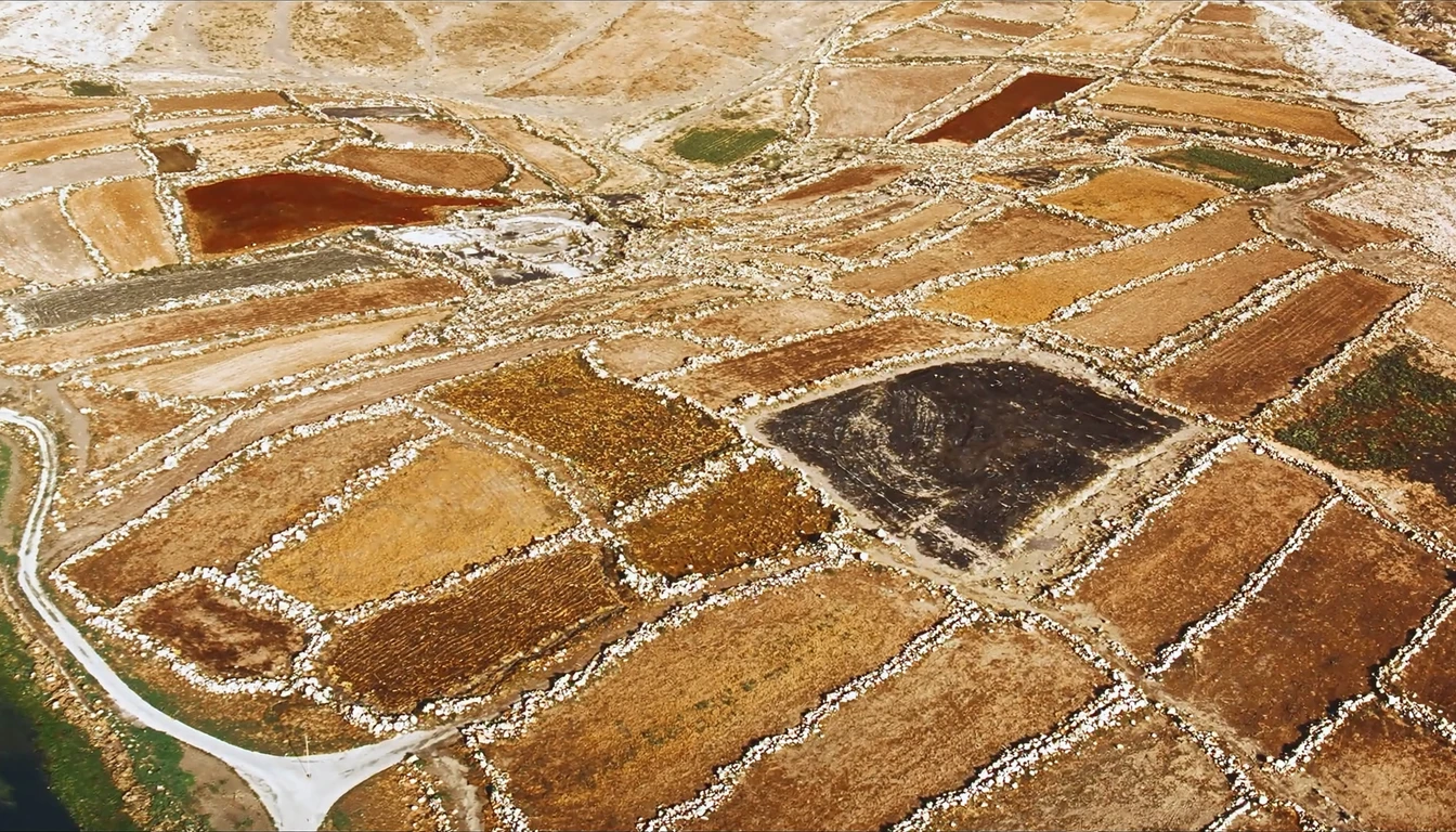 Dry-stone walls dividing hill country into irregular fields of different soil colours, seen from above
