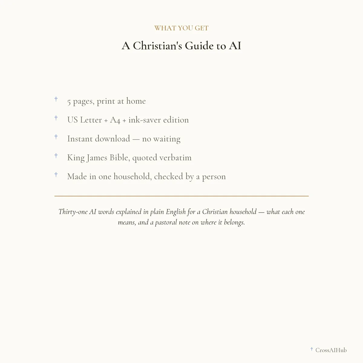 What is in the download — A Christian's Guide to AI