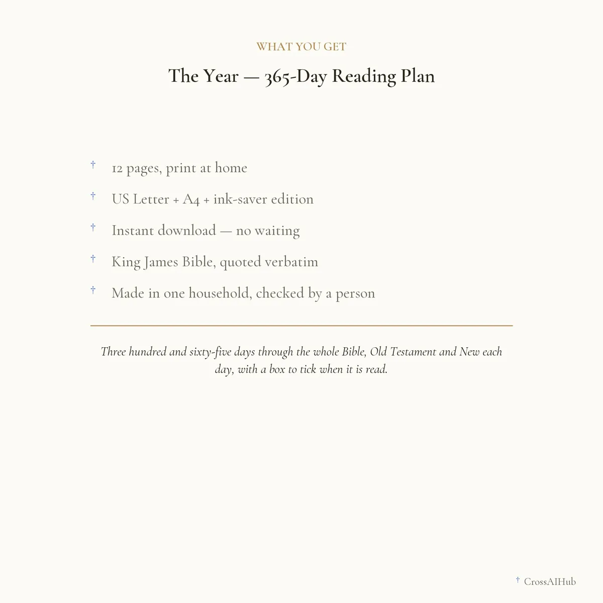 What is in the download — The Year — 365-Day Reading Plan