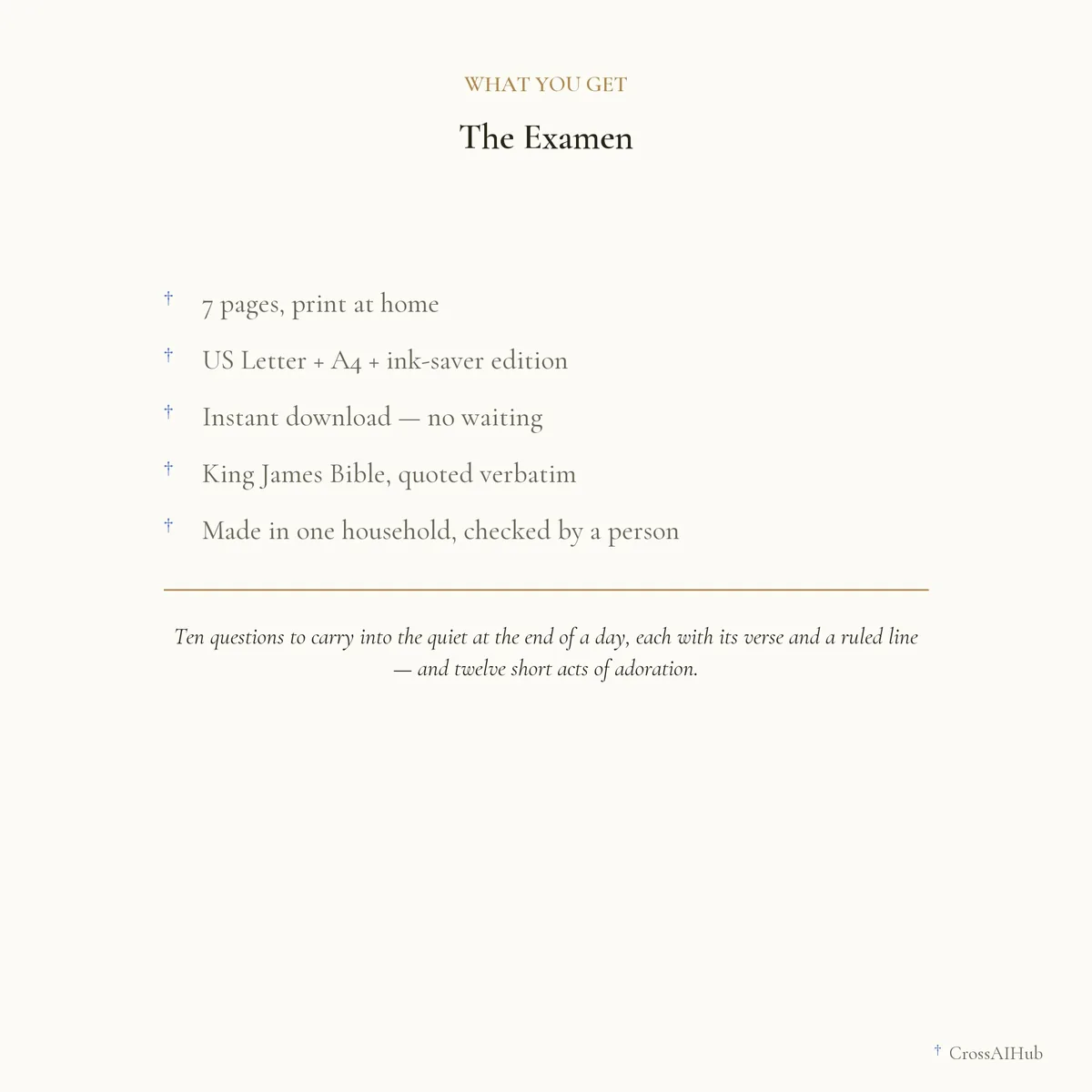 What is in the download — The Examen